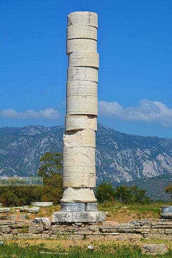 Ireon Samos | Griekenland 64 - Foto van https://www.grieksegids.nl/fotos/samos/normaal/ireon-samos-064.jpg