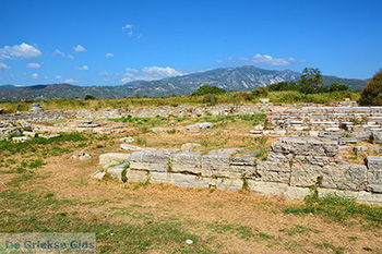 Ireon Samos | Griekenland 67 - Foto van https://www.grieksegids.nl/fotos/samos/normaal/ireon-samos-067.jpg
