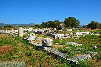 Ireon Samos | Griekenland 73 - Foto van https://www.grieksegids.nl/fotos/samos/normaal/ireon-samos-073.jpg