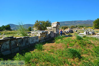 Ireon Samos | Griekenland 76 - Foto van https://www.grieksegids.nl/fotos/samos/normaal/ireon-samos-076.jpg