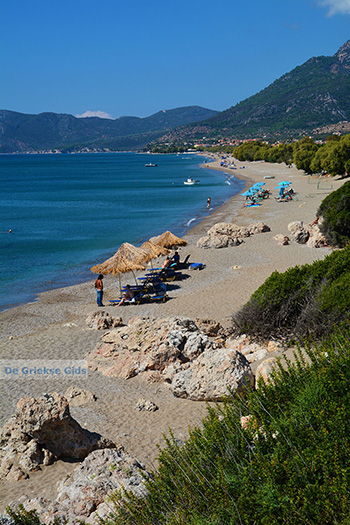 De standen Kampos Samos en Votsalakia Samos | Griekenland foto 9 - Foto van https://www.grieksegids.nl/fotos/samos/normaal/kampos-votsalakia-samos-009.jpg