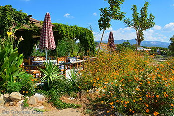 De standen Kampos Samos en Votsalakia Samos | Griekenland foto 13 - Foto van https://www.grieksegids.nl/fotos/samos/normaal/kampos-votsalakia-samos-013.jpg