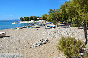De standen Kampos Samos en Votsalakia Samos | Griekenland foto 20 - Foto van https://www.grieksegids.nl/fotos/samos/normaal/kampos-votsalakia-samos-020.jpg