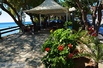 De standen Kampos Samos en Votsalakia Samos | Griekenland foto 29 - Foto van https://www.grieksegids.nl/fotos/samos/normaal/kampos-votsalakia-samos-029.jpg