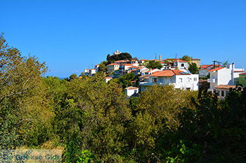 Oud Karlovassi Samos | Griekenland | Foto 56 - Foto van https://www.grieksegids.nl/fotos/samos/normaal/karlovassi-samos-056.jpg