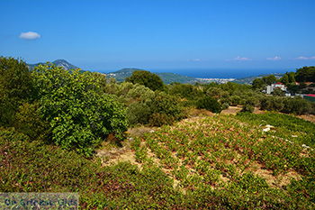 Kosmadei Samos en Karlovassi Samos gezien vanaf de bergen - Foto van De Griekse Gids