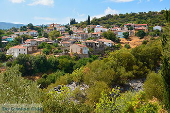 Koumaradei Samos | Griekenland | Foto 8 - Foto van https://www.grieksegids.nl/fotos/samos/normaal/koumaradei-samos-008.jpg