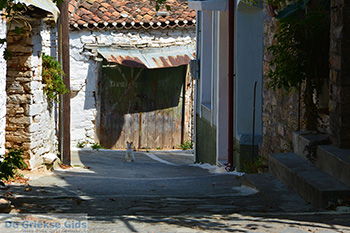 Koumaradei Samos | Griekenland | Foto 21 - Foto van https://www.grieksegids.nl/fotos/samos/normaal/koumaradei-samos-021.jpg