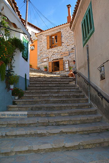 Manolates Samos | Griekenland | Foto 20 - Foto van https://www.grieksegids.nl/fotos/samos/normaal/manolates-samos-020.jpg