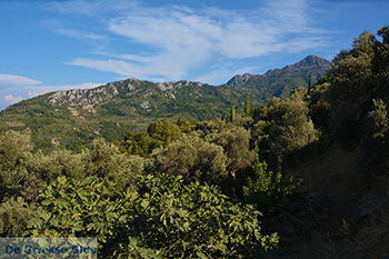 Manolates Samos | Griekenland | Foto 22 - Foto van https://www.grieksegids.nl/fotos/samos/normaal/manolates-samos-022.jpg