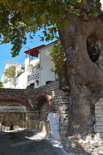 Marathokampos Samos | Griekenland | Foto 14 - Foto van https://www.grieksegids.nl/fotos/samos/normaal/marathokampos-samos-014.jpg