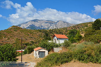 Marathokampos Samos | Griekenland | Foto 23 - Foto van https://www.grieksegids.nl/fotos/samos/normaal/marathokampos-samos-023.jpg