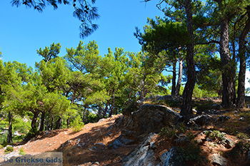 Mesogio Samos | Griekenland | Foto 4 - Foto van https://www.grieksegids.nl/fotos/samos/normaal/mesogio-samos-004.jpg