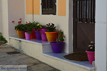 Mesogio Samos | Griekenland | Foto 13 - Foto van https://www.grieksegids.nl/fotos/samos/normaal/mesogio-samos-013.jpg