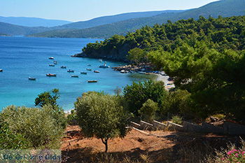 Mourtia Samos | Griekenland | Foto 3 - Foto van https://www.grieksegids.nl/fotos/samos/normaal/mourtia-samos-003.jpg