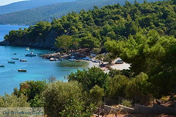 Mourtia Samos | Griekenland | Foto 5 - Foto van De Griekse Gids