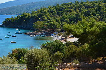 Mourtia Samos | Griechenland | Foto 5 - Foto von GriechenlandWeb.de