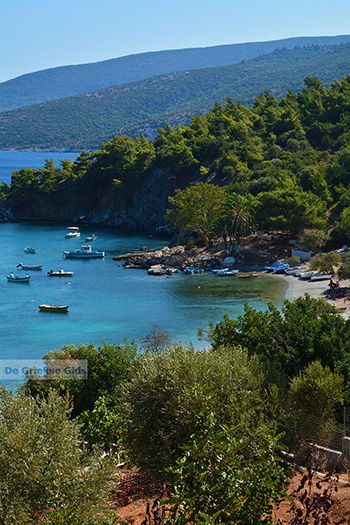 Mourtia Samos | Griekenland | Foto 6 - Foto van https://www.grieksegids.nl/fotos/samos/normaal/mourtia-samos-006.jpg