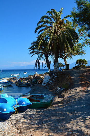 Mourtia Samos | Griekenland | Foto 8 - Foto van https://www.grieksegids.nl/fotos/samos/normaal/mourtia-samos-008.jpg