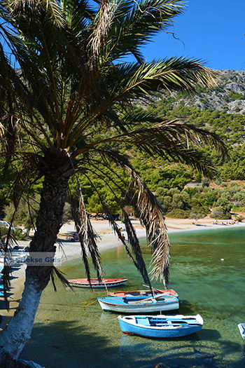 Mourtia Samos | Griekenland | Foto 11 - Foto van https://www.grieksegids.nl/fotos/samos/normaal/mourtia-samos-011.jpg