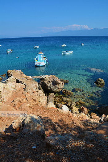 Mourtia Samos | Griekenland | Foto 13 - Foto van https://www.grieksegids.nl/fotos/samos/normaal/mourtia-samos-013.jpg