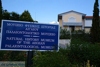 Mytilinioi Samos | Griekenland | Foto 17 - Foto van https://www.grieksegids.nl/fotos/samos/normaal/mytilinioi-samos-017.jpg