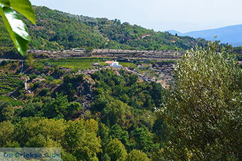 Pandrosso Samos | Griekenland | Foto 2 - Foto van https://www.grieksegids.nl/fotos/samos/normaal/pandrosso-samos-002.jpg
