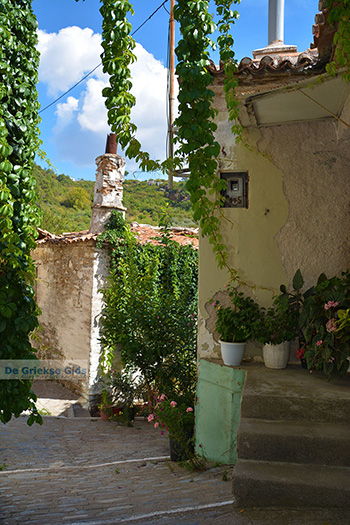 Pandrosso Samos | Griekenland | Foto 34 - Foto van https://www.grieksegids.nl/fotos/samos/normaal/pandrosso-samos-034.jpg