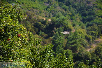 Pandrosso Samos | Griekenland | Foto 38 - Foto van https://www.grieksegids.nl/fotos/samos/normaal/pandrosso-samos-038.jpg