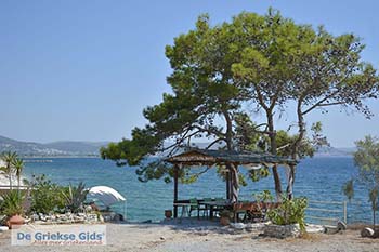 Pappa Beach Samos Egeische eilanden 001 - Foto van https://www.grieksegids.nl/fotos/samos/normaal/pappa-beach-samos-001.jpg