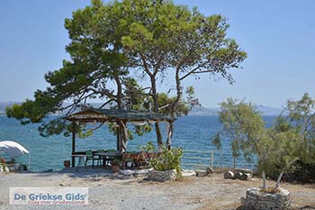 Pappa Beach Samos Egeische eilanden 016 - Foto van https://www.grieksegids.nl/fotos/samos/normaal/pappa-beach-samos-016.jpg