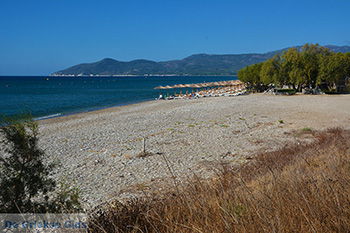 Strand bij Pythagorion Samos - Potokaki Samos foto 1 - Foto van https://www.grieksegids.nl/fotos/samos/normaal/potokaki-samos-004.jpg
