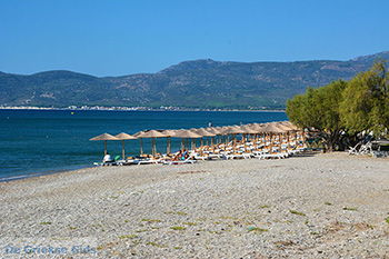 Strand bij Pythagorion Samos - Potokaki Samos foto 2 - Foto van https://www.grieksegids.nl/fotos/samos/normaal/potokaki-samos-005.jpg