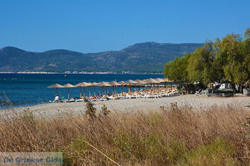 Strand bij Pythagorion Samos - Potokaki Samos foto 3 - Foto van https://www.grieksegids.nl/fotos/samos/normaal/potokaki-samos-012.jpg