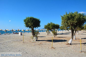 Potokaki Samos | Griekenland | Foto 2 - Foto van https://www.grieksegids.nl/fotos/samos/normaal/potokaki-samos-014.jpg