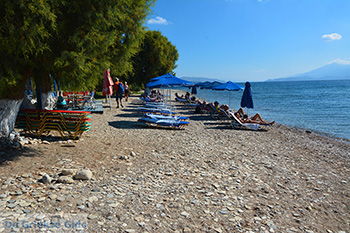 Potokaki Samos | Griekenland | Foto 25 - Foto van https://www.grieksegids.nl/fotos/samos/normaal/potokaki-samos-037.jpg
