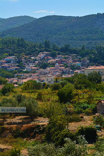 Pyrgos Samos | Griekenland | Foto 5 - Foto van https://www.grieksegids.nl/fotos/samos/normaal/pyrgos-samos-005.jpg