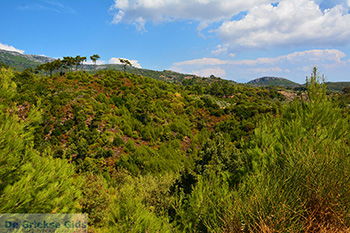 Pyrgos Samos | Griekenland | Foto 6 - Foto van https://www.grieksegids.nl/fotos/samos/normaal/pyrgos-samos-006.jpg