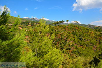Pyrgos Samos | Griekenland | Foto 7 - Foto van https://www.grieksegids.nl/fotos/samos/normaal/pyrgos-samos-007.jpg