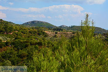 Pyrgos Samos | Griekenland | Foto 8 - Foto van https://www.grieksegids.nl/fotos/samos/normaal/pyrgos-samos-008.jpg