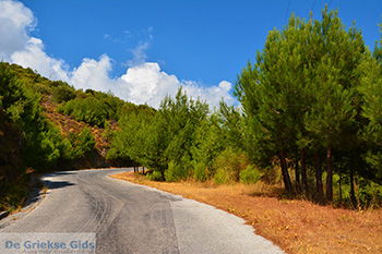 Pyrgos Samos | Griekenland | Foto 9 - Foto van https://www.grieksegids.nl/fotos/samos/normaal/pyrgos-samos-009.jpg