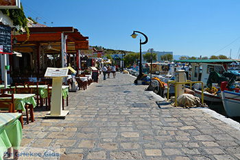 Pythagorion Samos | Griekenland | Foto 00036 - Foto van https://www.grieksegids.nl/fotos/samos/normaal/pythagorion-samos-036.jpg