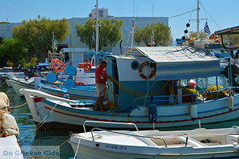Pythagorion Samos | Griekenland | Foto 00038 - Foto van https://www.grieksegids.nl/fotos/samos/normaal/pythagorion-samos-038.jpg