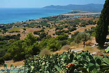 Pythagorion Samos | Griekenland | Foto 00088 - Foto van https://www.grieksegids.nl/fotos/samos/normaal/pythagorion-samos-088.jpg
