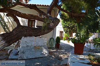 Pythagorion Samos | Griekenland | Foto 00089 - Foto van https://www.grieksegids.nl/fotos/samos/normaal/pythagorion-samos-089.jpg