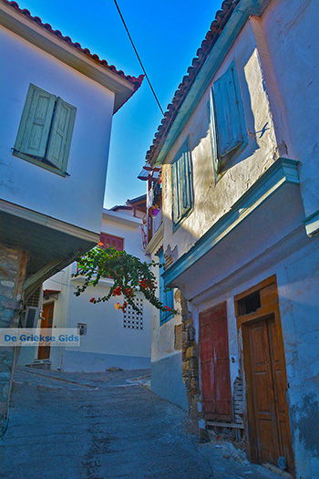 Samos stad | Vathy Samos | Griekenland foto 34 - Foto van https://www.grieksegids.nl/fotos/samos/normaal/samos-stad-034.jpg
