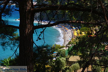 Strand Tsamadou Kokkari Samos | Griekenland foto 3 - Foto van https://www.grieksegids.nl/fotos/samos/normaal/tsamadou-kokkari-samos-003.jpg
