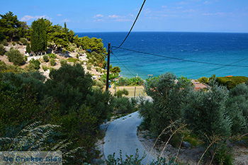 Strand Tsamadou Kokkari Samos | Griekenland foto 9 - Foto van https://www.grieksegids.nl/fotos/samos/normaal/tsamadou-kokkari-samos-009.jpg
