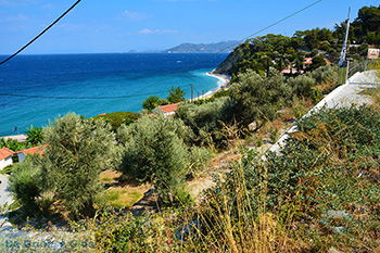 Strand Tsamadou Kokkari Samos | Griekenland foto 14 - Foto van https://www.grieksegids.nl/fotos/samos/normaal/tsamadou-kokkari-samos-014.jpg