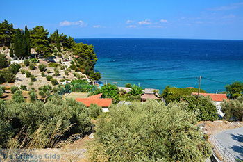 Strand Tsamadou Kokkari Samos | Griekenland foto 17 - Foto van https://www.grieksegids.nl/fotos/samos/normaal/tsamadou-kokkari-samos-017.jpg